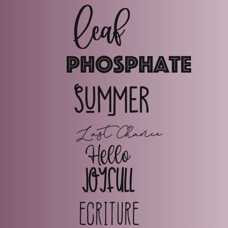 Personalized silicone bib